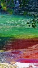 0C6CEE02-A77D-4328-94A5-34671B1CE60B/L0/001
