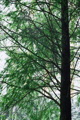 F5F8E21E-DA2C-40D9-8834-D62B36E2DF65/L0/001