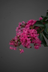 D4139180-BE78-4FD9-9752-75714B6069E5/L0/001