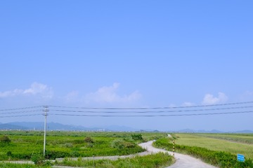 59067