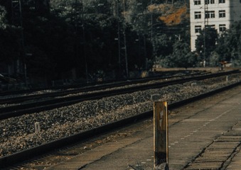 1000003242