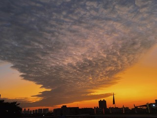 61431E91-4708-407B-BA50-F545C0805C6F/L0/001