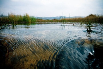 IMG_4828.jpg