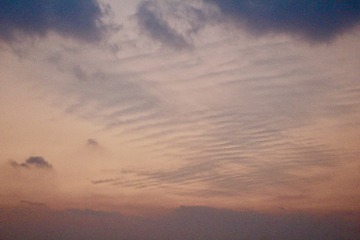 E1F28AAD-2BF5-4289-A361-31CD7EF4AA9F/L0/001