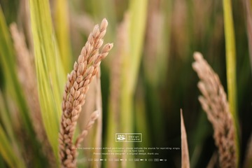 F1E7AAB3-3514-490E-BD99-315D786F2F5A/L0/001