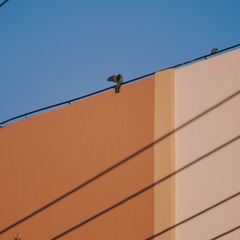 FF0A3D6A-EF57-4809-8A29-C4D754345C18/L0/001