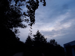 689DED9B-644B-4B25-87FF-6F95E673E2A5/L0/001
