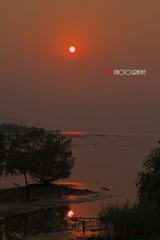 深圳湾