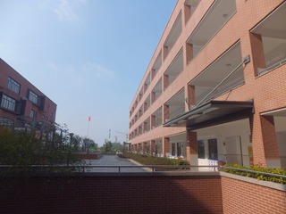 36065