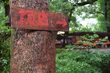LEICA120630-002.jpg
