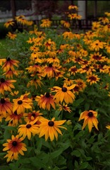 LEICA120630-012.jpg