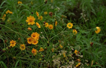 LEICA120630-014.jpg