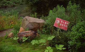 LEICA120630-016.jpg