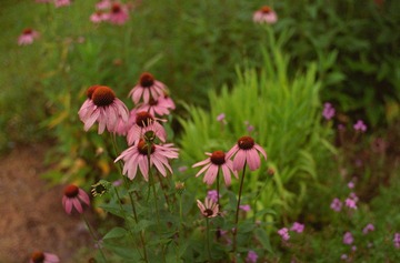 LEICA120630-020.jpg