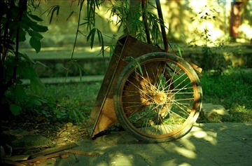 LEICA120810a-010.jpg