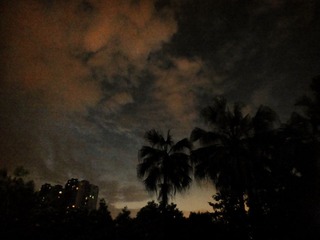 DSCF2647.jpg