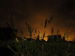 DSCF2258.JPG