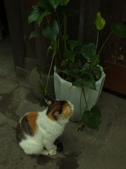 DSCF2271.JPG