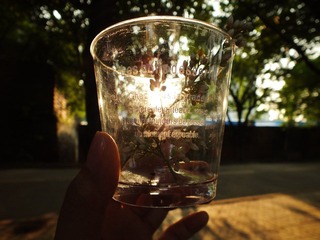 DSCF2550.JPG