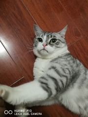 665886