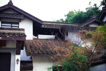 P1010290-1