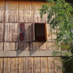 P1010436-1