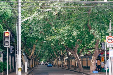DSCF9327-1-2