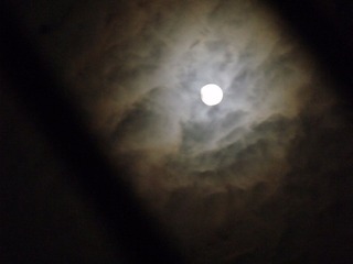 DSCF7661.JPG
