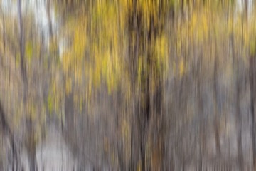 LDFY_DSC3039-1