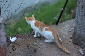 IMG_2367.JPG