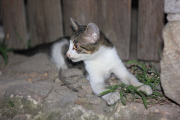 IMG_2523.JPG