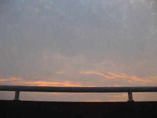 23019