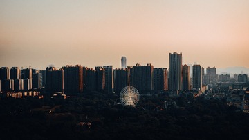 20073