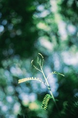 19906