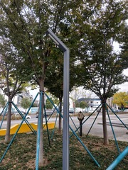 10281