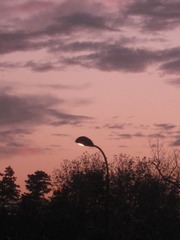 B6BB9C8E-CBDE-4D3E-A66C-3108642A3FB3/L0/001