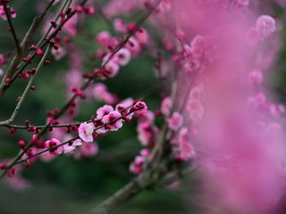 AB22FF61-9125-4F42-BC53-F25505D26E87/L0/001