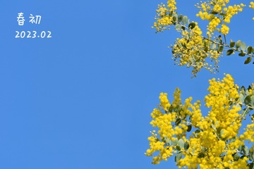 F47D6E61-EAC2-4A60-B925-6CE951E8C3FF/L0/001
