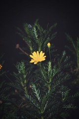 69067F17-9D6F-4045-B4F0-27DAB92423C8/L0/001