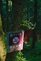 FA77F62E-6804-4FF9-9F07-FD15E3A91FE4/L0/001