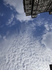 EB527049-7B7B-49F4-87C8-268F4C8D3A99/L0/001