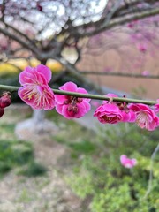 D4BBAF08-B4F7-450D-A138-BA7898CDF86D/L0/001