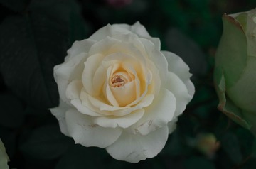 4FB0AA3B-EC51-4B62-BB5D-B80BC8BC066F/L0/001