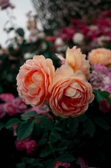 BF8E6760-B326-438D-80F8-7D9306DD688F/L0/001
