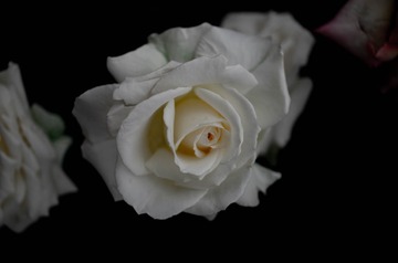 57F81D57-EA83-4A51-B308-D71F2BDEDBC7/L0/001