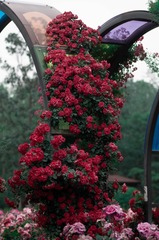 A2B64315-B237-4C1C-8ADE-4590B1402424/L0/001