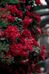 A31F91CB-6B20-4A6D-9142-EEC48E178B4C/L0/001