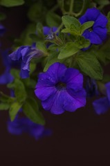 3EE73D90-D90B-45BF-AFA5-EC04C2EFB21B/L0/001
