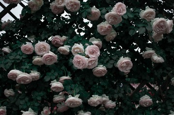 1686FF1B-3C49-4960-A4BD-059B5E1FC2FC/L0/001