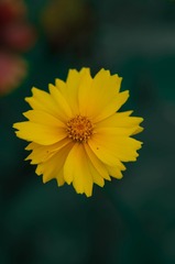 A8443B11-4A12-4EA8-ABCB-02282A93C275/L0/001